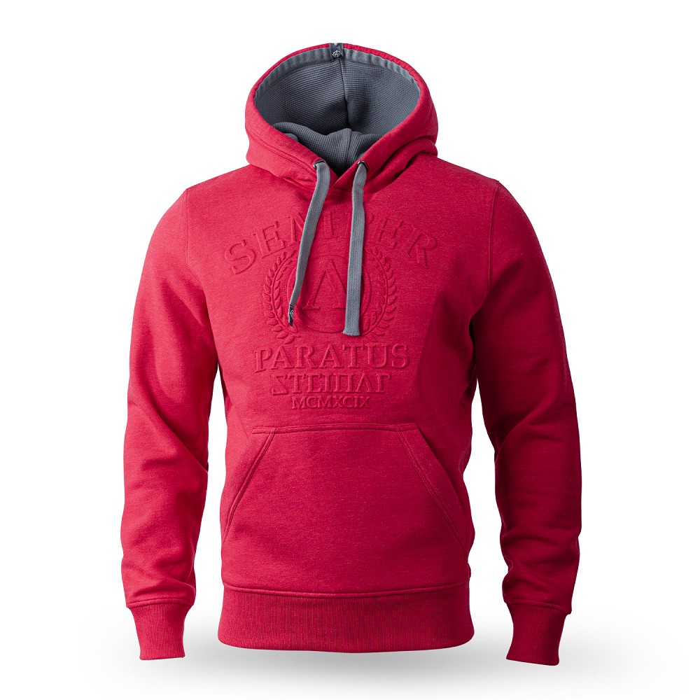 KAPUZENSWEATSHIRT ARNKJELL