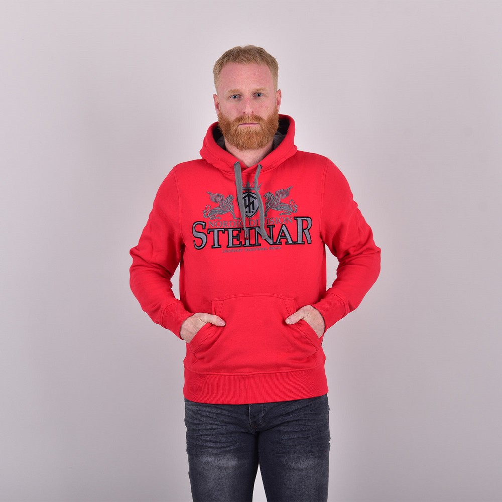 KAPUZENSWEATSHIRT AEGIR II